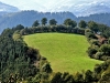 foret-montagne